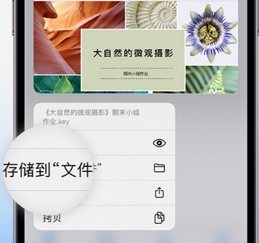 东昌apple维修中心分享iPhone文件应用中存储和找到下载文件