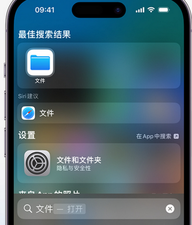 东昌apple维修中心分享iPhone文件应用中存储和找到下载文件 