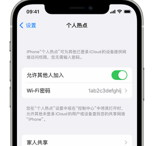 东昌apple服务站点分享iPhone上个人热点丢失了怎么办 