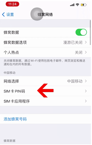 东昌苹果14维修网分享如何给iPhone14的SIM卡设置密码 