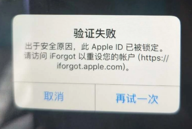 东昌iPhone维修分享iPhone上正常登录或使用AppleID怎么办 