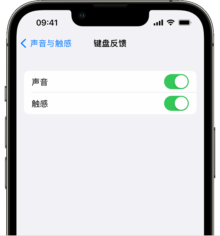 东昌苹果14维修店分享如何在 iPhone 14 机型中使用触感键盘 