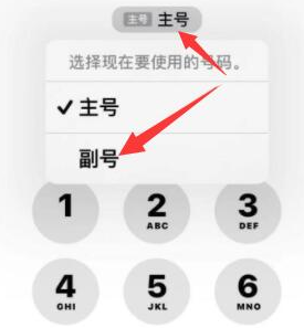 东昌苹果14维修店分享iPhone 14 Pro Max使用副卡打电话的方法 