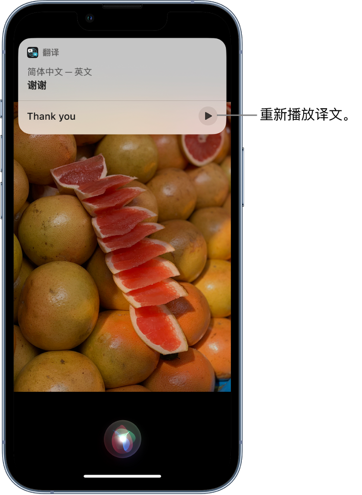 东昌苹果14维修分享 iPhone 14 机型中使用 Siri：了解 Siri 能帮你做什么 