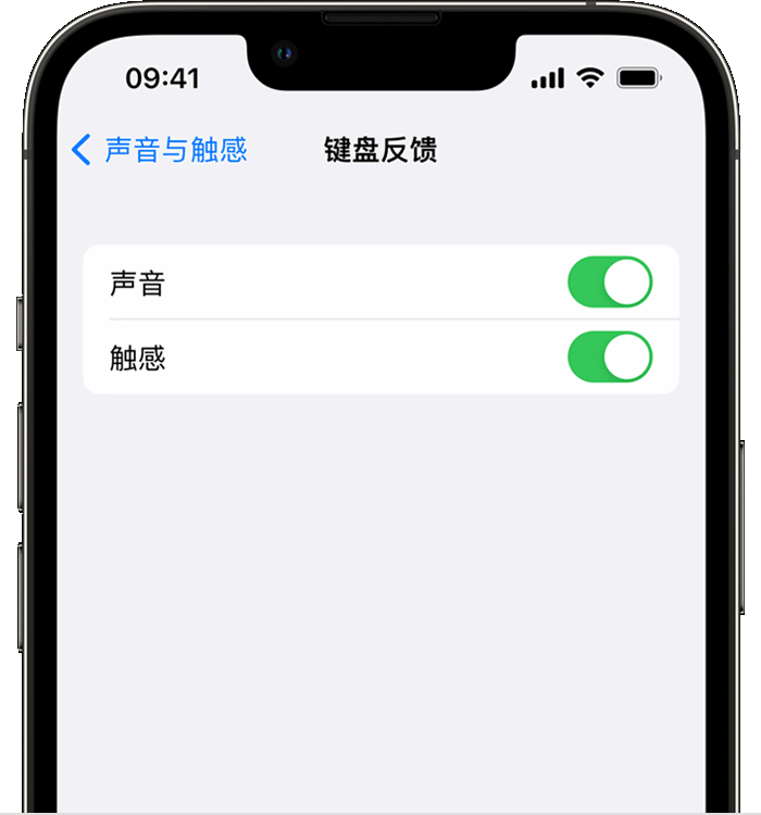 东昌苹果14维修分享iPhone 14 系列机型如何开启键盘声音或触感反馈 