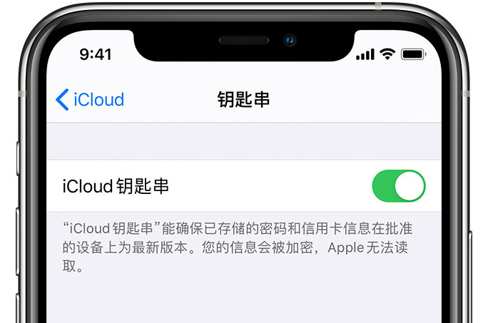 东昌苹果手机维修分享在 iPhone 上开启 iCloud 钥匙串之后会储存哪些信息 