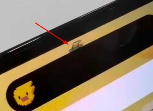 东昌苹果14维修分享iPhone 14 Pro Max灵动岛怎么养宠物 