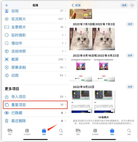 东昌苹果手机维修分享iOS 16 中相册重复项目功能使用方法 