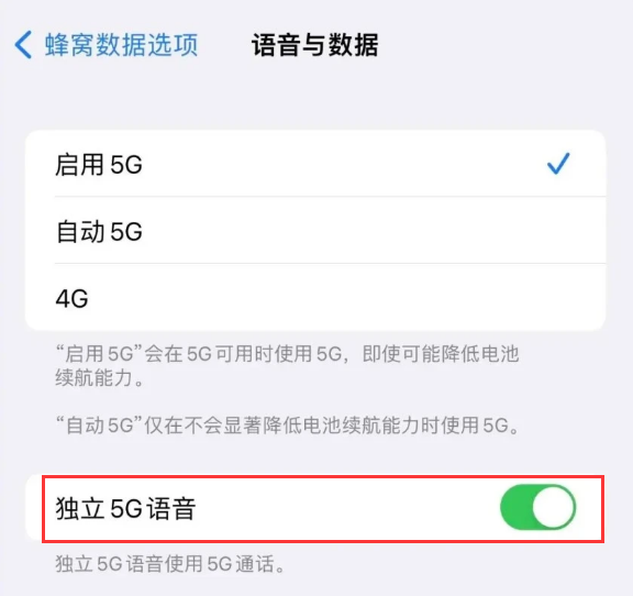 东昌苹果14维修分享iPhone 14 Pro如何开启VoNR 
