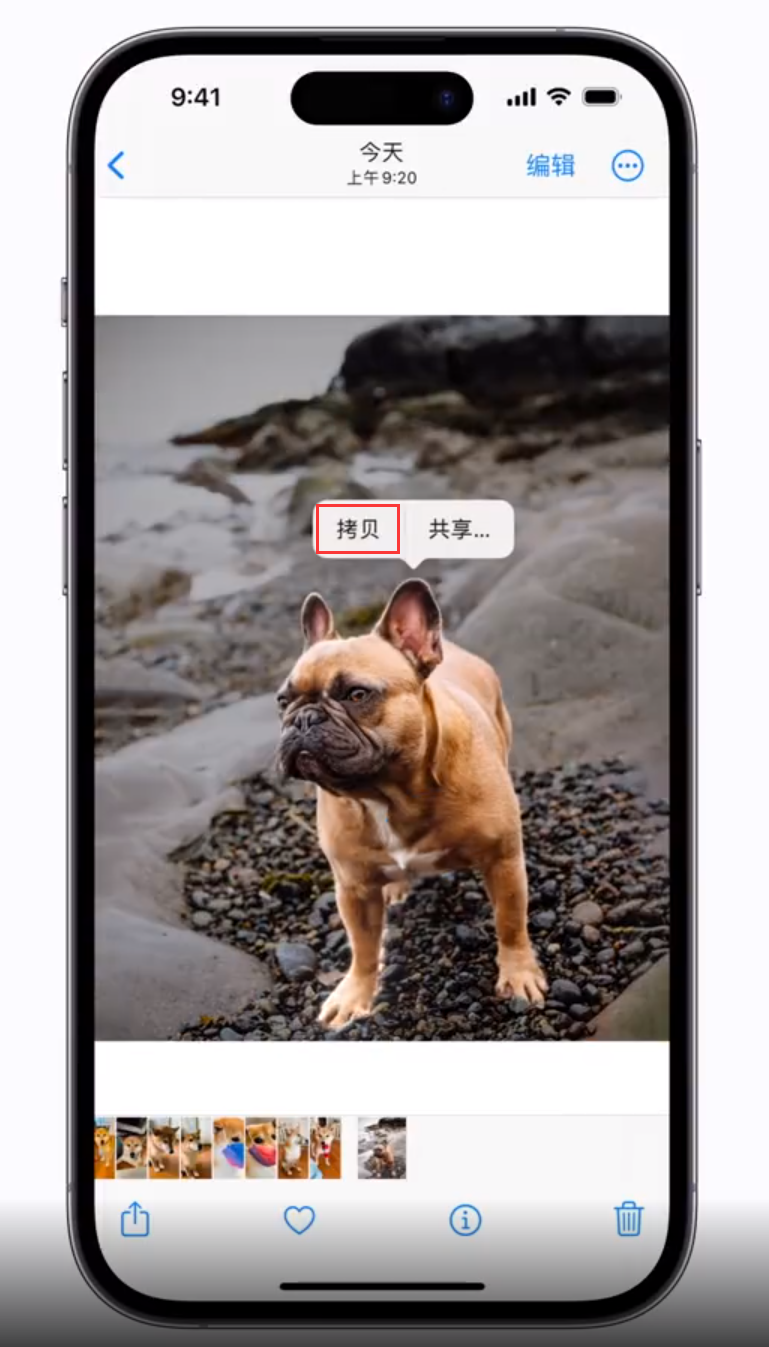 东昌苹果手机维修分享 iOS 16 自带一键抠图功能 