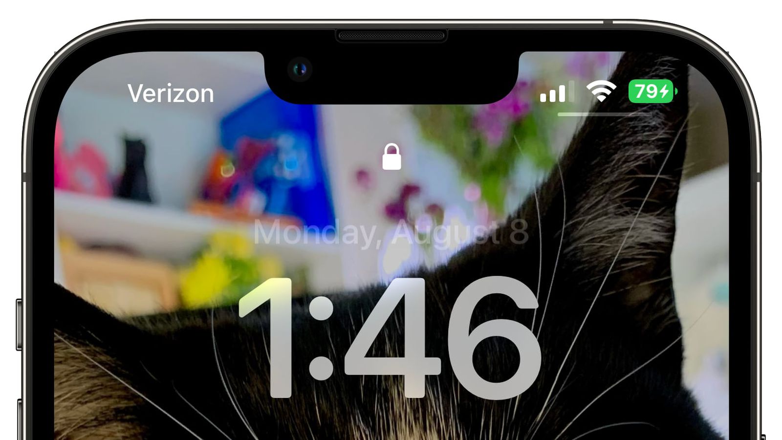 东昌苹果手机维修分享iOS 16 beta 5 支持状态栏显示电池百分比，如何开启？支持哪些机型 