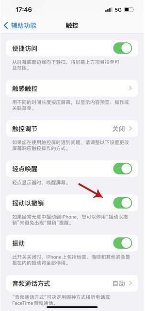 东昌苹果手机维修分享iPhone手机如何设置摇一摇删除文字 