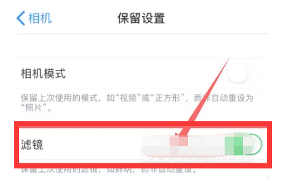 东昌苹果13维修分享iPhone13拍照有绿点是怎么回事 