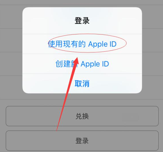 东昌苹果手机维修分享两台iPhone设备可以同时登录一个Apple ID吗 