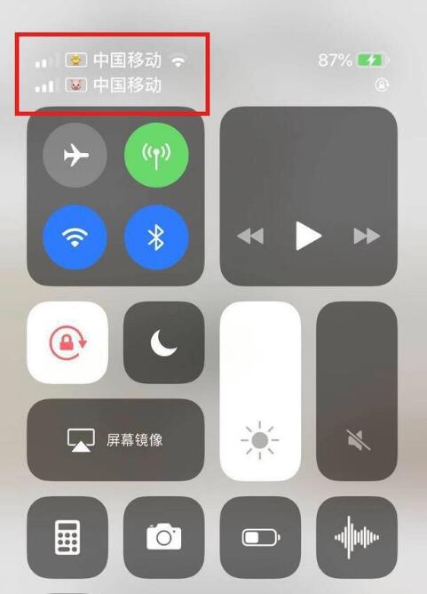东昌苹果手机维修分享为 iPhone 12 双卡设置标签 