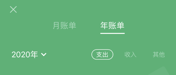 东昌苹果手机维修分享如何在 iPhone 上查看支付宝和微信年支出账单 